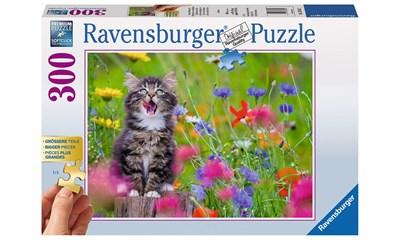 Katze im Blumenmeer
