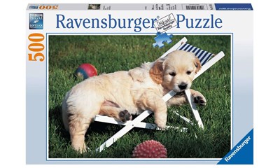 Golden Retriver