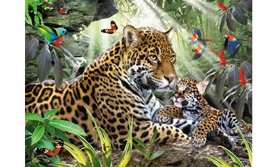 Jaguar Nachwuchs