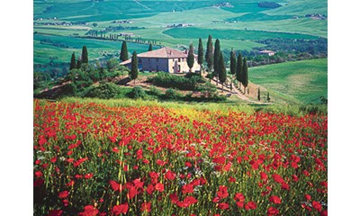 Italien, Toskana, Val d'Orcia