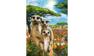 Fröhliche Erdmännchen