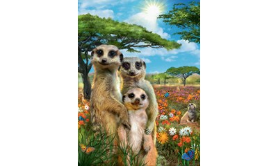 Fröhliche Erdmännchen