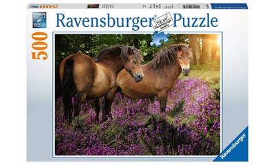 Ponys in der Heide