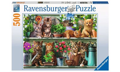 Katzen im Regal