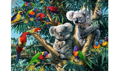 Koalas im Baum