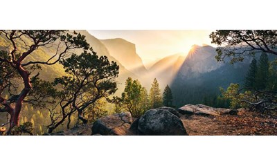 Yosemite Park