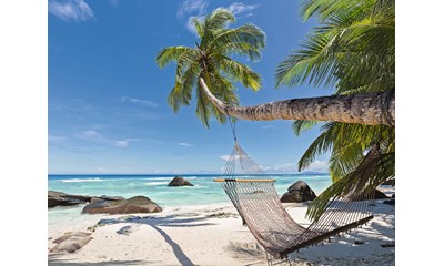 Hängematte am Strand
