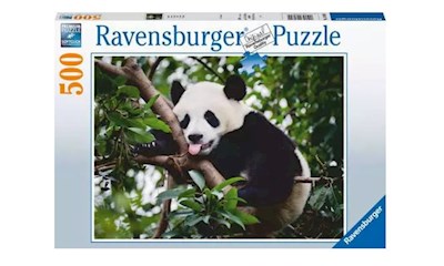 Pandabär