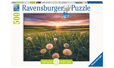 Pusteblumen im Sonnenuntergang