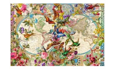 Weltkarte mit Schmetterlingen