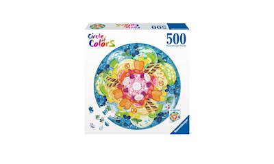 Circle of Colors Ice Cream