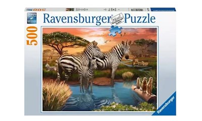 Zebras am Wasserloch