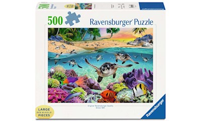 Race of the Baby Sea Turt.500pLF