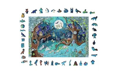 Fantasy Forest