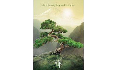 Zen Baum