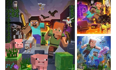 Minecraft Biomes
