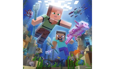 Minecraft Biomes