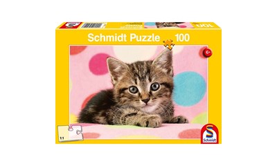 Süsses Katzenkind