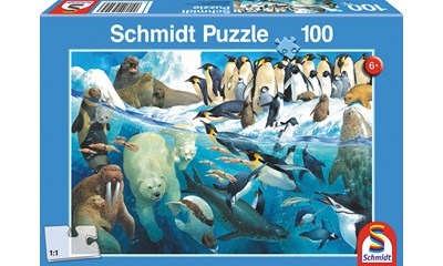 Tiere am Polarkreis