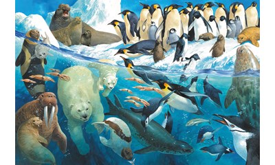 Tiere am Polarkreis
