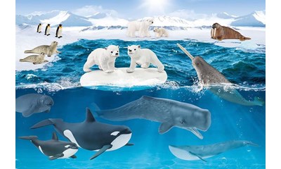 Wild Life, In der Arktis, 60 Teile (inkl. Original-Figur)