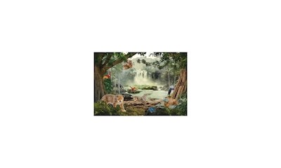 Wild Life im Regenwald 100 Teile (inkl. Figur)
