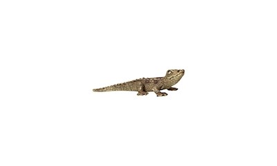 Wild Life im Regenwald 100 Teile (inkl. Figur)