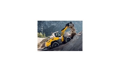 Liebherr, Radlader L526 150 Teile
