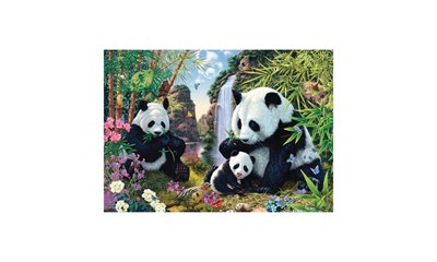 Pandafamilie am Wasserfall
