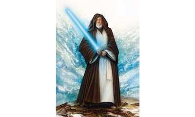 Star Wars The Jedi Master