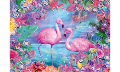 Flamingos