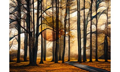 Magischer Wald