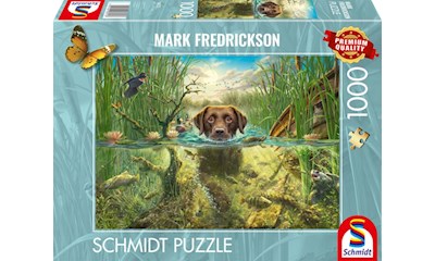 Brauner Labrador im kühlen Nass
