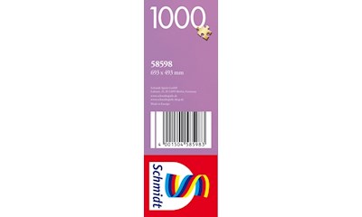 Souvenir, Erinnerungen an New York 1000 Teile