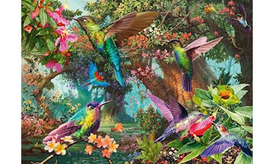 Farbenspiel der Kolibris 