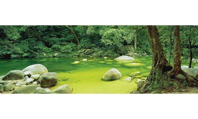 Mossman Gorge - Queensland, Australia