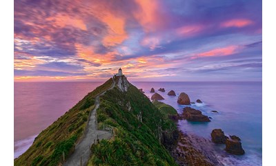 Nugget Point Lighthouse New Zealand