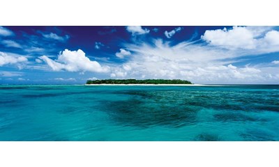 Minipuzzle, Lady Musgrave Island - Queensland, Australia
