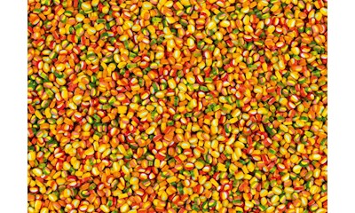 Picoballa