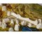 National Geographic Ancient China