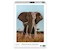 Afrikanischer Elefant 1000 Teile (Donal Boyd)