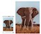 Afrikanischer Elefant 1000 Teile (Donal Boyd)