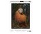 Orang-Utan 1000 Teile (Donal Boyd)