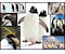 Pinguine 1000 Teile