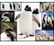 Pinguine 1000 Teile