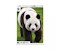 Panda 1000 Teile