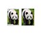 Panda 1000 Teile