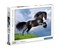 Black Horse