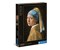 Girl with pearl earring 