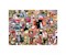 Katzen Collage 1000 Teile